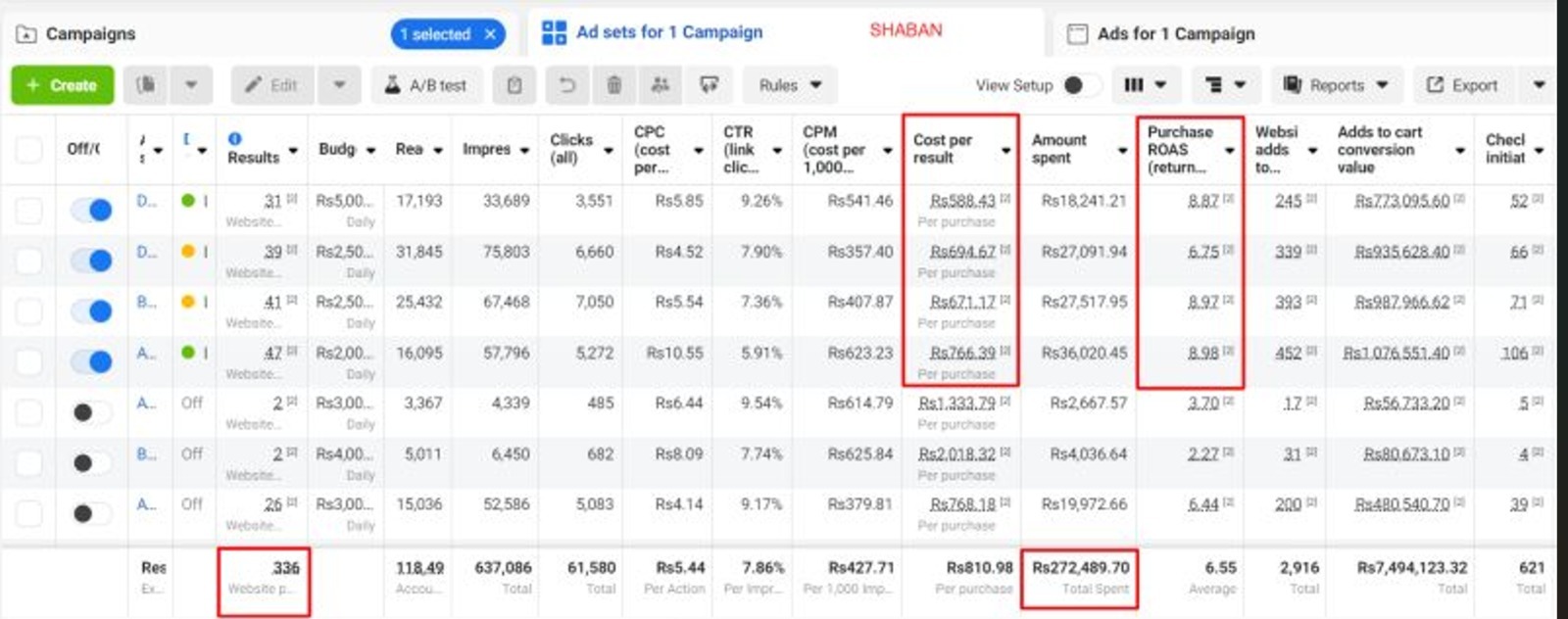 Facebook Ads Sales Campaign